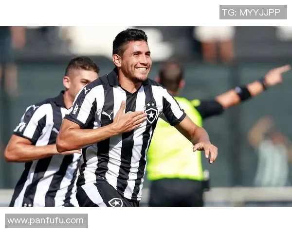 博塔弗戈与巴球队对决精彩瞬间回顾与赛后分析