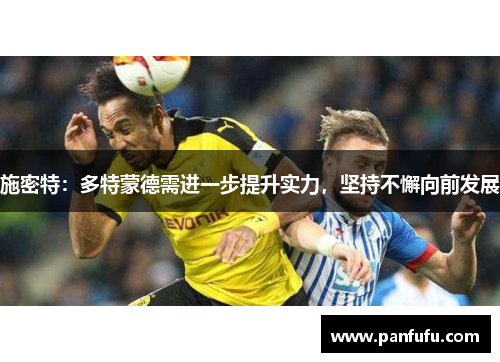 施密特：多特蒙德需进一步提升实力，坚持不懈向前发展